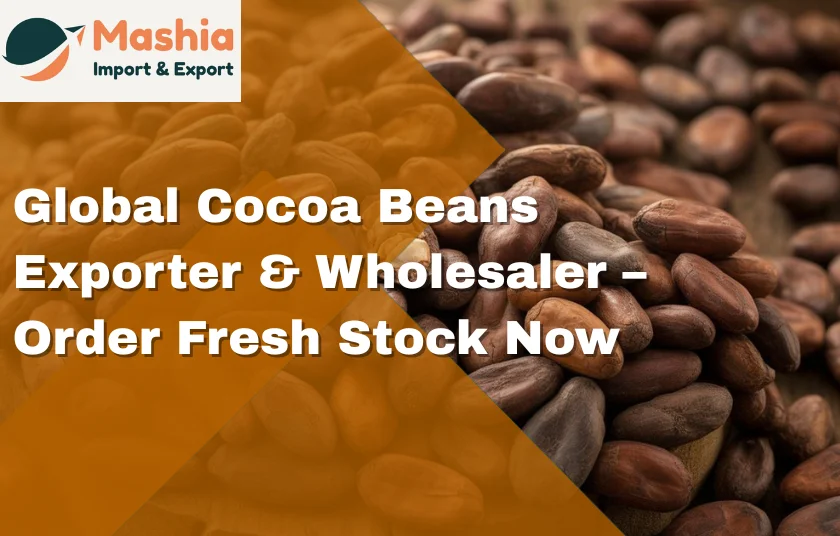 Global Cocoa Beans Exporter & Wholesaler – Order Fresh Stock Now